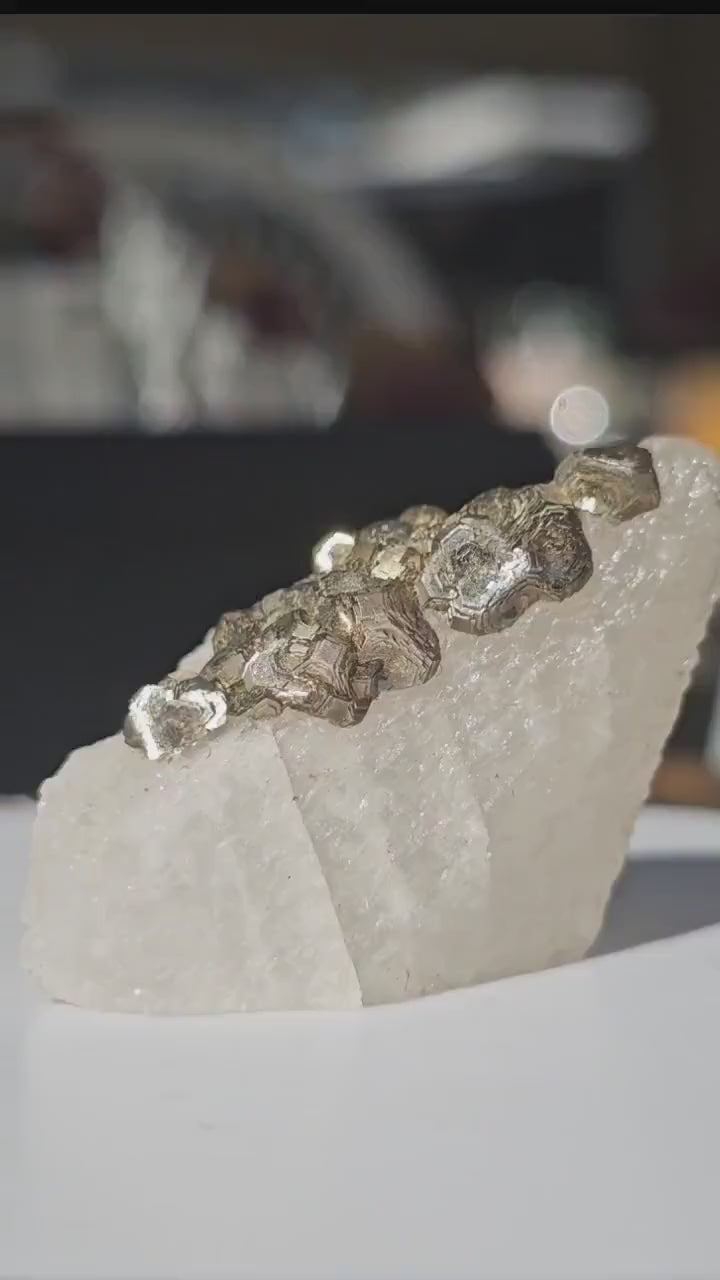 Calcite with Pyrite Crystals from Mexico, Single Terminated Sugary White Calcite with Clusters of Pyrite