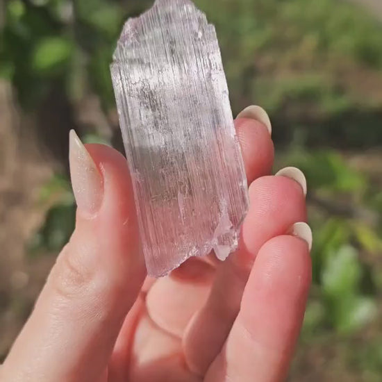 Super Thin Tabular Spodumene var. Kunzite Crystal with Great Luster, Highly UV Reactive Fluorescent Collector Specimen, Good Chatoyancy