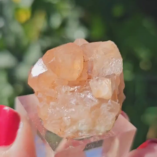 Peach Garnet Crystal Cluster, Hessonite Orange High Grade Collector Specimen