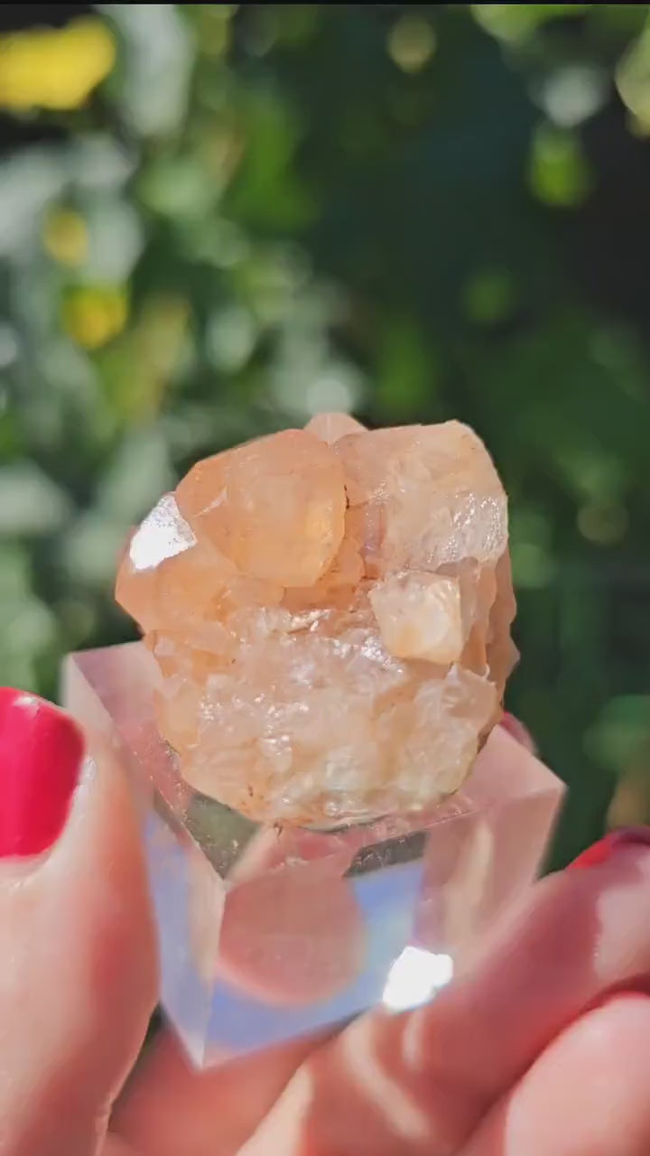 Peach Garnet Crystal Cluster, Hessonite Orange High Grade Collector Specimen